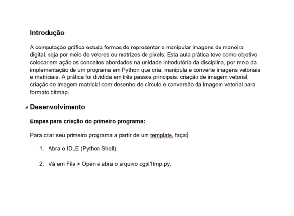 COMPUTAÇÃO GRÁFICA E PROCESSAMENTO DE IMAGENS