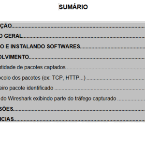 PORTFÓLIO - SEGURANÇA EM ENGENHARIA DE SOFTWARE
