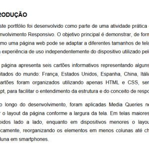 PORTFÓLIO  DESENVOLVIMENTO RESPONSIVO